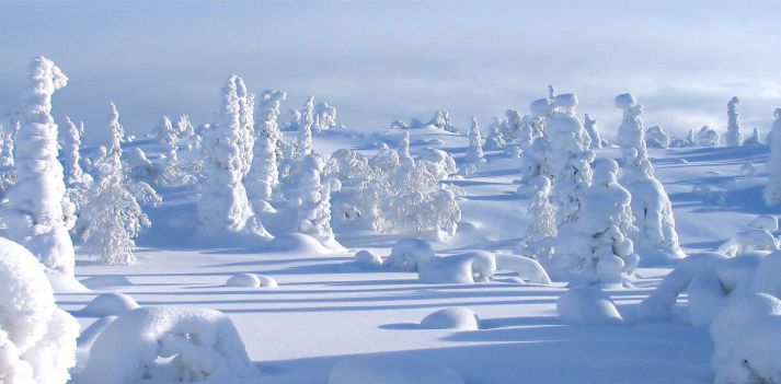 Viaggio invernale a Levi, Finlandia 
